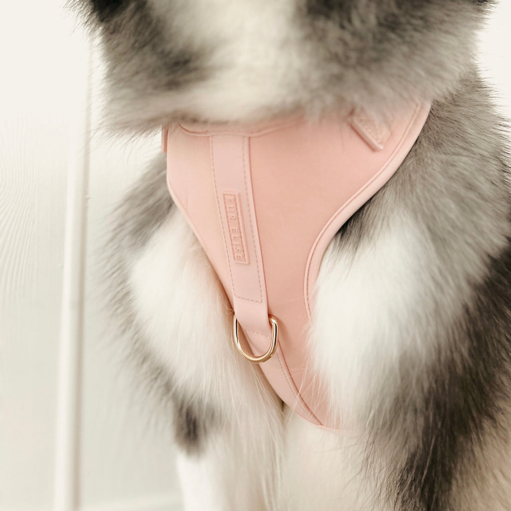 Fur Elise The Ultimate Walk Set - Rose
