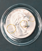 Rare Wilma Mankiller Quarter 🪙✨ | Mint Error Coin | Collectible U.S. Quarter
