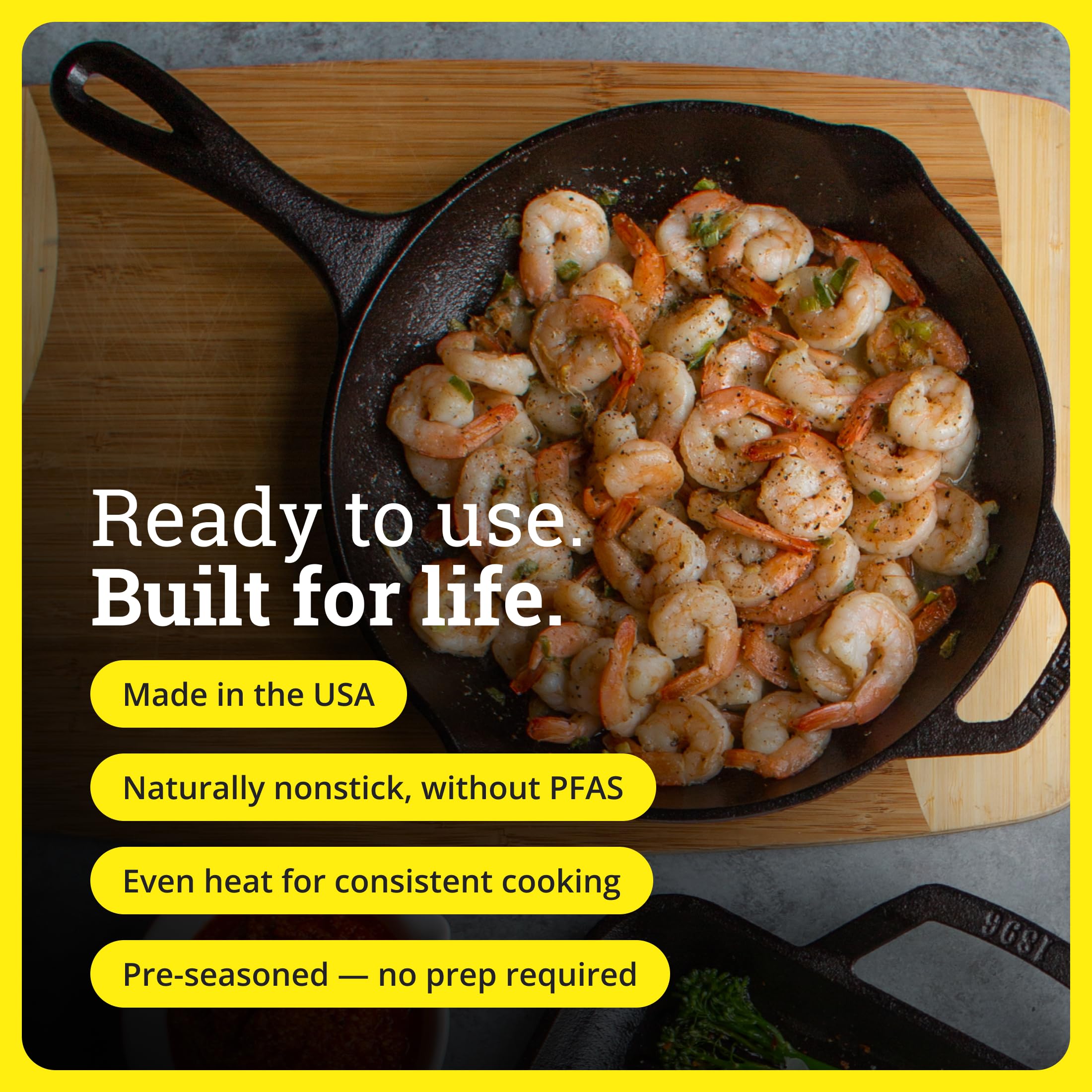 Lodge Cast Iron Skillet 10.25in - Pre-Seasoned, Durable Non-Toxic Cookware