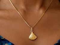 Sea Shell Necklace in 10K Yellow Gold